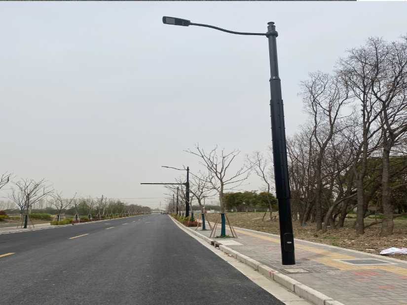 秀英区上海综合杆 太阳能路灯工程